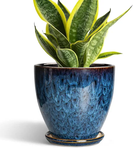 Miniatura 20 de Maceta para Plantas de 6.8 Pulgadas - Maceta de Cerámica con Orificio de Drenaje y Platillo, Maceta Redonda Moderna para Flores, Macetas
