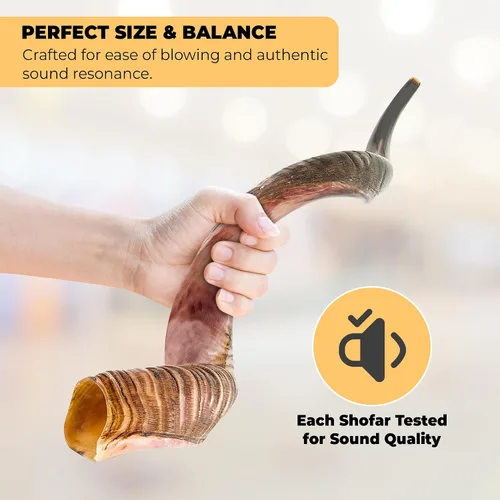 Miniatura 4 de YOMTOV-SHALOM Kudu Shofar Shofar en venta Kosher de Israel 35-39 pulgadas