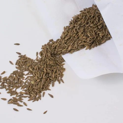 Miniatura 9 de Semillas de Lechuga (Buttercrunch) (2300 Semillas)