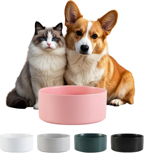 Miniatura 22 de Cuenco de cerámica para perros para comida y agua, cuenco comedero para mascotas para perros y gatos pequeños, plato de alimentación de cerámica
