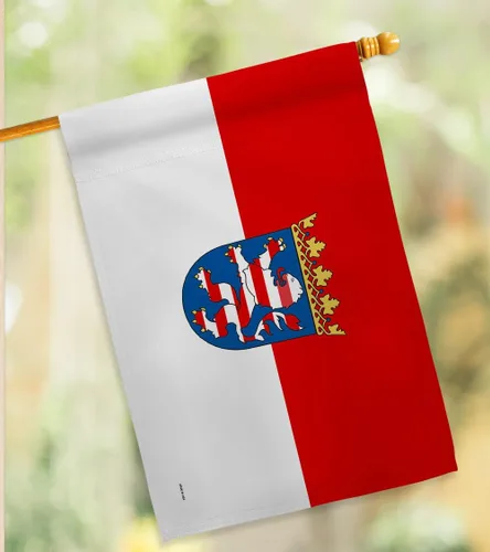 Miniatura 9 de Americana Home & Garden Hesse - Bandera de la casa regional, Alemania, Estados de Europa Central, territorio de Europa Central, Historia, País