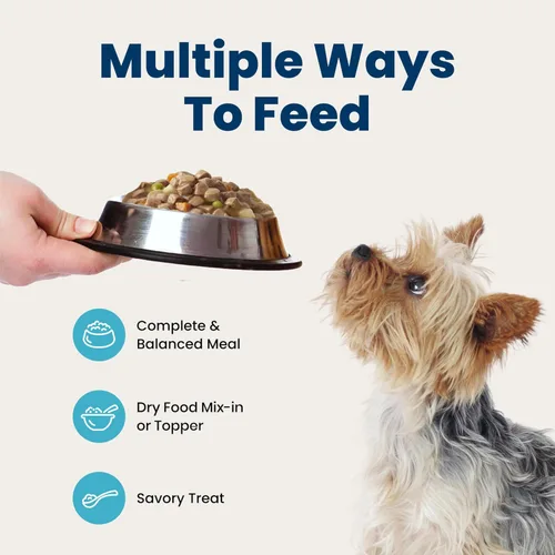 Miniatura 8 de Blue Buffalo Delicias Copa de alimentos de perro mojada de la raza pequeña adulta natural, sabor de pollo asado en salsa abundante 3.5-oz