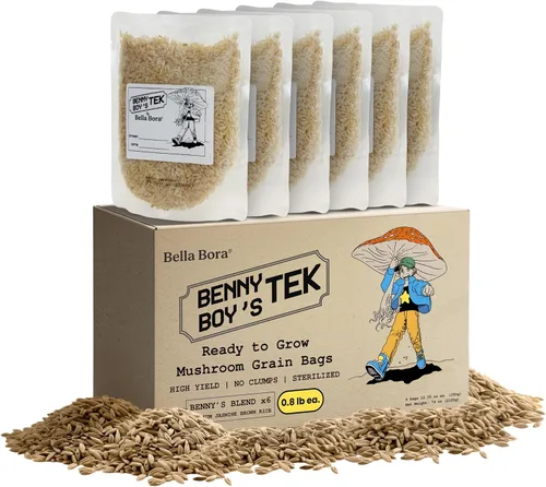Bolsas de desove de grano Bella Bora | Paquete de 6 bolsas de cultivo de hongos (2,27 kg) | Arroz jazmín marrón sin pulir como sustrato de hongos