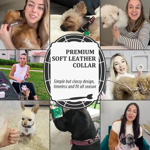 Miniatura 4 de Collares de perro personalizados, collar de perro de transferencia de calor con nombre y número de teléfono, collar de perro de cuero acolchado