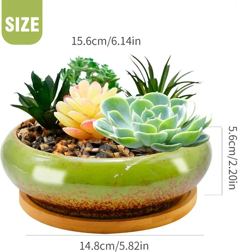 Miniatura 6 de Macetas de cerámica para bonsái de 7.4 pulgadas con bandejas poco profundas, macetas para suculentas con orificio de drenaje, macetas redondas Verde