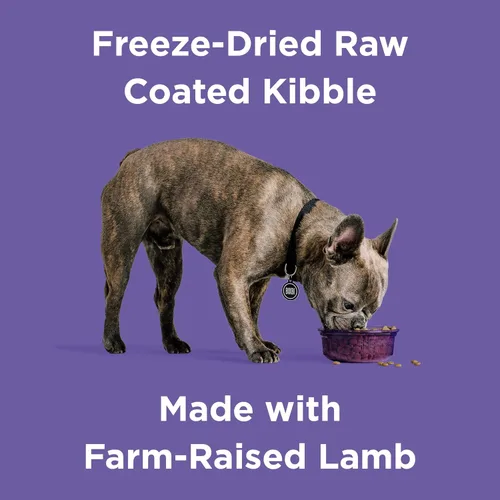 Miniatura 2 de BIXBI Rawbble - Alimento seco para perros, cordero, 24 libras, fabricado en Estados Unidos con carne fresca, sin harina de carne y sin maíz, soja