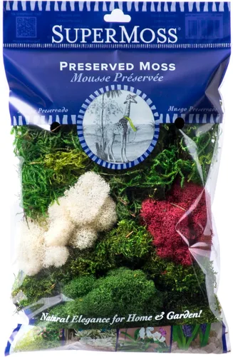 Miniatura 7 de SuperMoss (23309) Mezcla de musgo – Musgo decorativo de alta calidad para manualidades, terrarios, decoración de bodas y mesa, 80.75 pulgadas