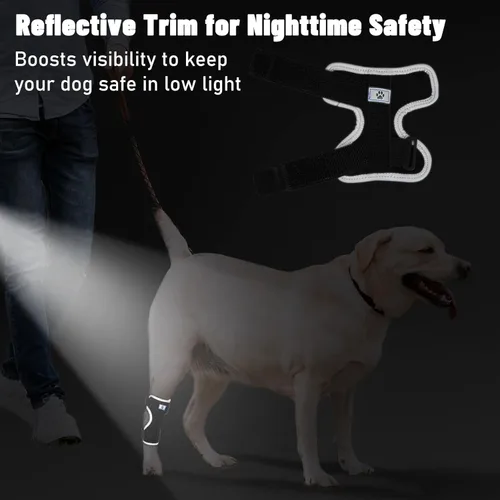 Miniatura 6 de Soportes para patas de perro para patas traseras y delanteras, soporte articular de perro y tobillo para patas traseras débiles con 2 tiras