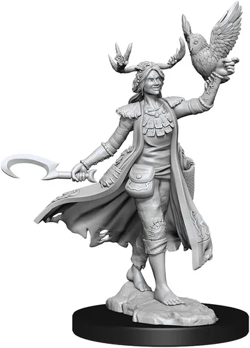 Miniatura 3 de WizKids D&D Frameworks: Mujer druida humana - Sin pintar y sin ensamblar