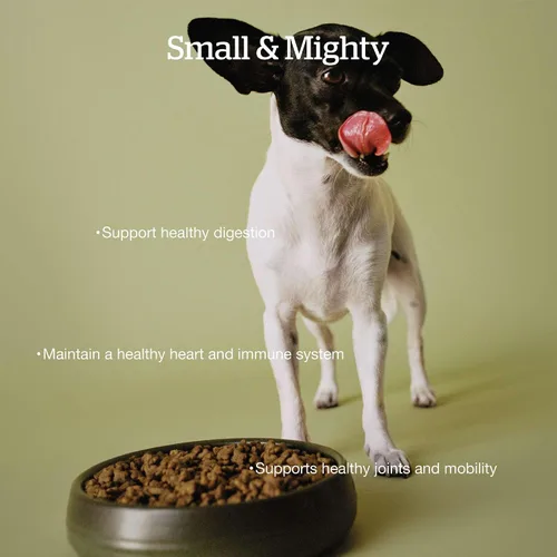 Miniatura 3 de Now Fresh Small Breed - Alimento seco para perros mayores, pavo, receta de salmón y pato, sin granos, sin pollo, 3.5 libras