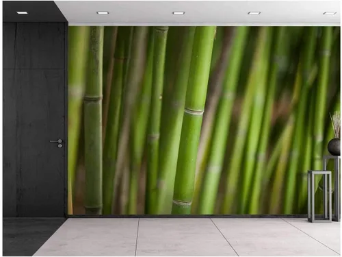Miniatura 30 de wall26 Papel para pared autoadhesivo, grande, serie de murales, WMR-WP-X-D127-66x24x4
