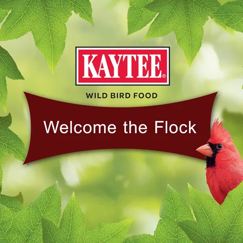 Miniatura 5 de Kaytee Cardinal Seed Cake, alimento para aves silvestres, 1.85 libras