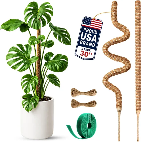 Paquete de 2 postes de musgo de 30 pulgadas para plantas, postes de musgo para plantas trepadoras Monstera, poste de fibra de coco hecho a mano,