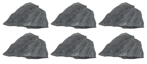 Miniatura 4 de EISCO Pizarra cruda, espécimen de roca metamórfica - aprox. 1 pulgada - geólogo seleccionado y procesado a mano - ideal para aulas de ciencias