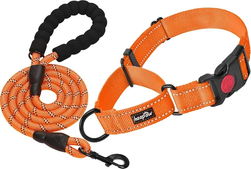 Miniatura 12 de haapaw Paquete de 2 collares de perro Martingale con hebilla de liberación rápida reflectantes, collares de entrenamiento para perros pequeños, Negro