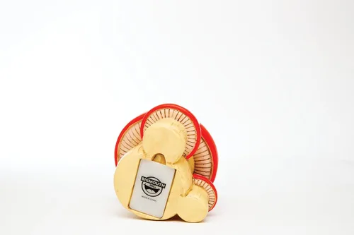 Miniatura 2 de Ocultador de hongos para exteriores, resistente a la intemperie, soporte de repuesto secreto para uso en patio y jardín, decoración decorativa