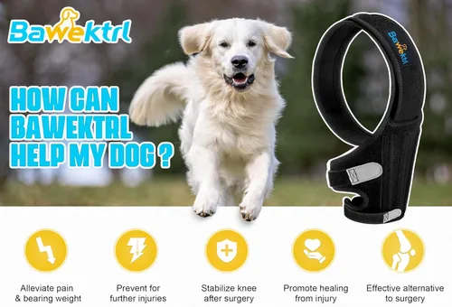 Miniatura 4 de Férula ACL para Perro para Luxación de Rótula en Pata Trasera, Soporte Ajustable de Pata Trasera para Perro para Dolor Articular, Dolor Muscular