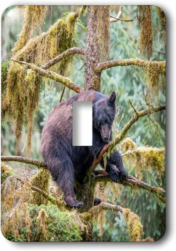 Miniatura 2 de 3dRose Black bear cub finds safety in a tree at Anan Creek. 2 plug outlet cover
