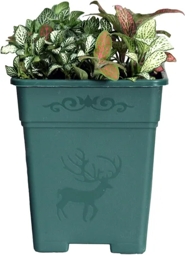 Miniatura 7 de Macetas cuadradas de plástico de 0.5 galones para plantas de interior y exterior, paquete de 10 con agujeros de drenaje, macetas de vivero de 5