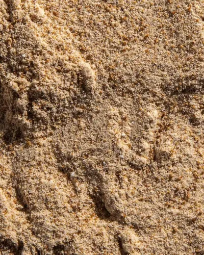 Miniatura 7 de Ora Organic Polvo vegano que aumenta el colágeno para mujeres y hombres, soporte para el cabello, la piel y las uñas, sílice de bambú, proteína a