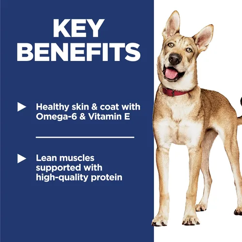 Miniatura 4 de Hill's Science Diet Adulto 1-6, Adulto 1-6 Premium Nutrition, alimento seco para perros, pollo y cebada, bolsa de 15 libras