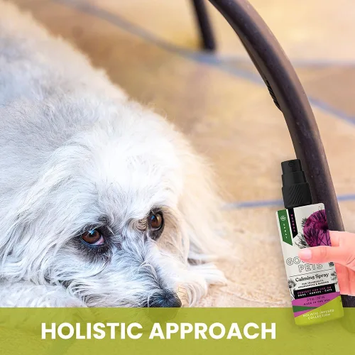 Miniatura 7 de Aerosol calmante holístico natural derivado para la ansiedad para mascotas: proporciona alivio del estrés: recomendado por veterinarios, fabricado