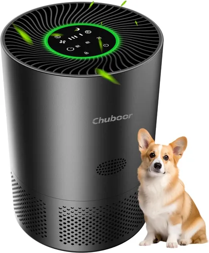 Chuboor Purificadores de aire para habitaciones grandes del hogar, H13 True HEPA para dormitorio, habitación, mascotas, cocina, baño, con Negro