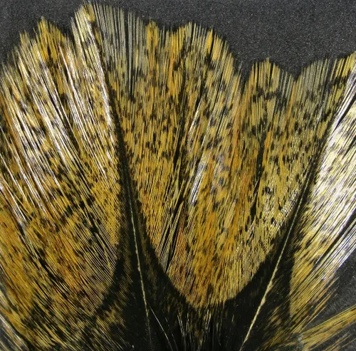 Miniatura 5 de Hareline Fly Tying Coq De Leon Feathers for Dry Fly Tails, Nymphs, and Euro Patterns