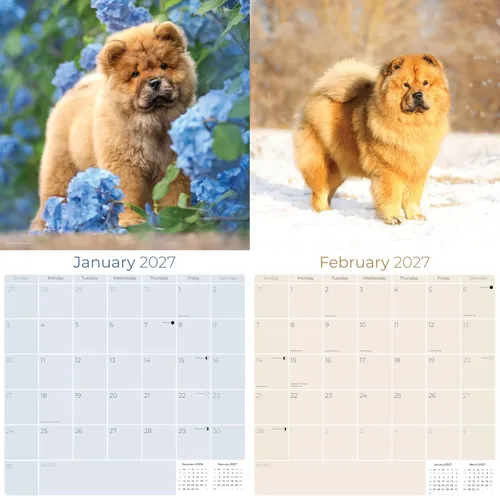 Miniatura 2 de Calendario Chow Chow 2025 2026 – Calendario mensual de pared de raza de perro – 12 x 24 pulgadas abierto – Papel grueso sin sangrado – Regalar