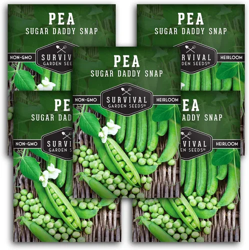 Miniatura 12 de Survival Garden Seeds - Semilla de guisante Sugar Daddy Snap para plantar - 3 paquetes con instrucciones para plantar y cultivar en deliciosas