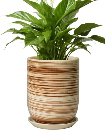 Miniatura 33 de Maceta de Cerámica para Plantas de Interior de 5 Pulgadas - Maceta Redonda para Plantas Suculentas con Agujero de Drenaje y Platillo, Decoración