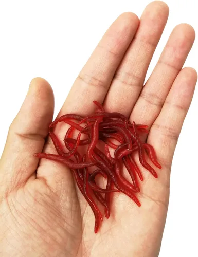 Miniatura 3 de 1.6in/3.3/3.9in Señuelo Suave de Pesca Lombriz de Trucha Lombriz de Tierra Cebo de Vida Falso Gusano de Sangre Gusano Babosa Señuelo Suave de Pesca