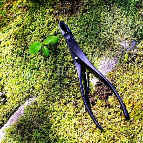 Miniatura 3 de KAKURI Cortador de ramas cóncavas para bonsái, herramienta profesional de bonsái de 7 pulgadas (7.087 in), acero al carbono japonés, hoja redonda