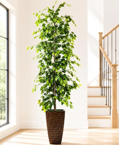 Miniatura 13 de LCG Florals Árboles de ficus artificiales en macetas de metal de cobre, juego de 2 – tronco de madera real, premontados, planta sintética