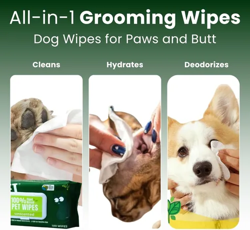 Miniatura 4 de Pet N Pet Toallitas para perros 100% a base de plantas para patas y traseros, 100 toallitas hipoalergénicas sin perfume para perros, 8 x 8 pulgadas