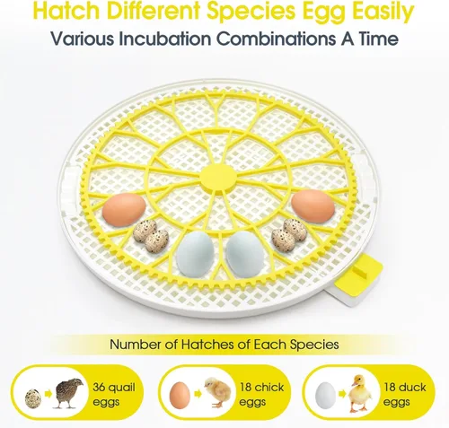 Miniatura 7 de Sailnovo Incubadora de 18 huevos para incubar huevos con giro automático de huevos y pantalla de humedad, control de temperatura, visión clara