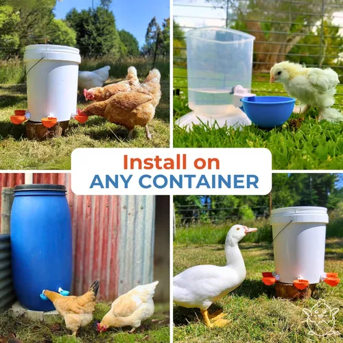 Miniatura 6 de Lil Clucker - Vasos de agua automáticos grandes azules adecuados para patos, gansos, pavos y conejos, kit de alimentador de agua, bebedero para aves