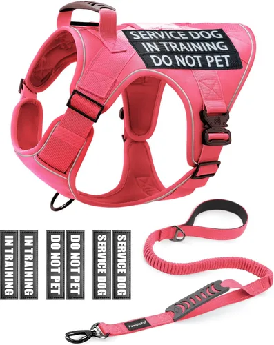 Miniatura 11 de Chaleco de perro de servicio para perros medianos, arnés de perro de servicio en entrenamiento con parches, chaleco ajustable para perros