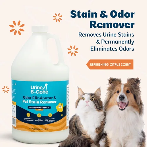 Miniatura 3 de Orine B-Gone, eliminador profesional de olores enzimáticos y removedor de manchas de mascotas, limpiador de orina para humanos, gatos y perros