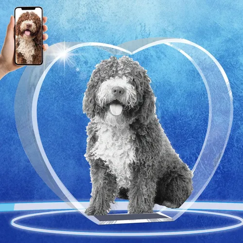 Miniatura 16 de Regalos conmemorativos personalizados para mascotas, marco de fotos de cristal 3D de perros o gatos, marco de fotos grabado con láser personalizado