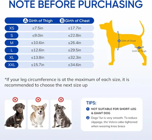 Miniatura 4 de Rodillera para perro para patas traseras desgarradas del ligamento cruzado anterior – Soporte ajustable antideslizante para piernas de perro con 4