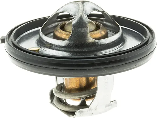 Motorad 420 – 195 Termostato