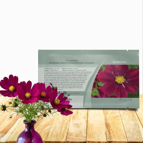 Outsidepride Sonata Purple Cosmos Bipinnatus Seeds – 50 piezas anuales, fáciles de cultivar y tolerantes a la sequía, semillas de flores para