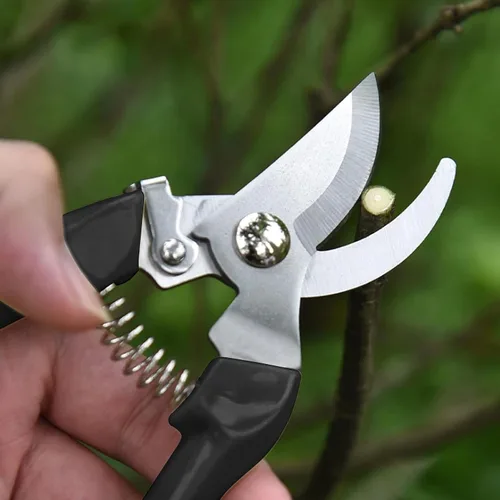 Miniatura 2 de Tijeras de jardín para plantas, tijeras de podar de punta para cortar flores, recortar plantas, bonsái y recolección de frutas