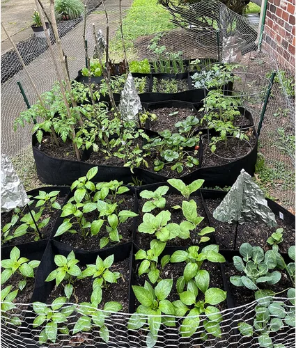Miniatura 5 de CJGQ Cama de jardín elevada de tela, bolsas de cultivo de plantas de 128 galones, 8 rejillas, 3 x 6 pies, macetas elevadas para cultivar verduras