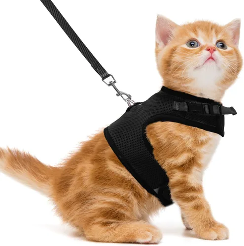 Miniatura 32 de PUPTECK Juego de arnés y correa de malla suave para gatos, arnés acolchado para mascotas, a prueba de escape, para gatos, perros pequeños, conejos