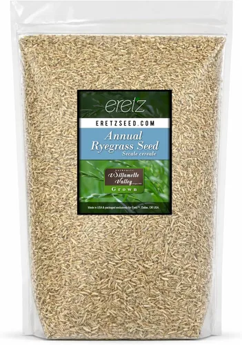 Semilla de Ballico Anual por Eretz - Cultivada en Willamette Valley, Oregon. Sin rellenos, Sin Malezas u Otras Semillas de Cultivo (3 lb)