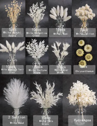 Miniatura 3 de Juego de flores secas naturales, flores secas a granel con tallos, margaritas secas, hierba de cola de conejo seca, mini ramo (blanco)