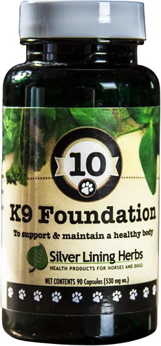 Silver Lining Herbs 10 Canine Foundation – Mezcla de hierbas que apoya la salud y la vitalidad normales – Suplemento canino natural para el