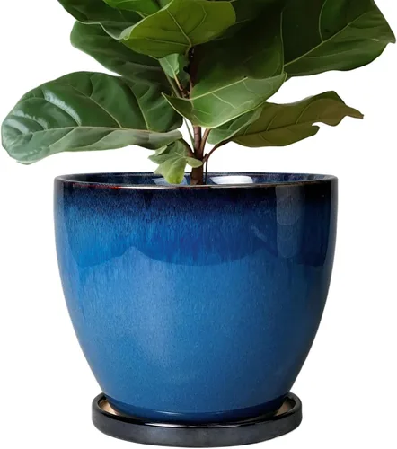 Miniatura 11 de Maceta para Plantas de 6.8 Pulgadas - Maceta de Cerámica con Orificio de Drenaje y Platillo, Maceta Redonda Moderna para Flores, Macetas